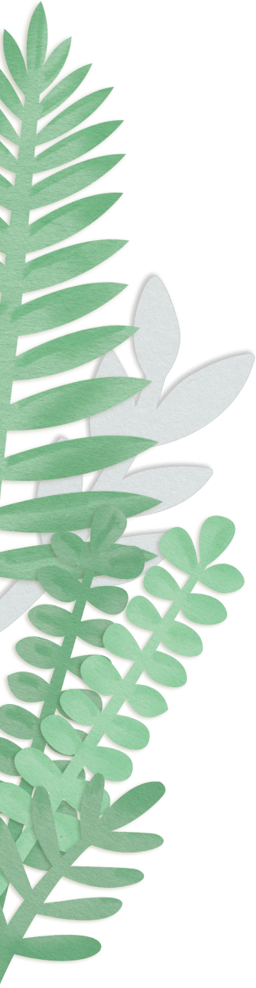 background decoration