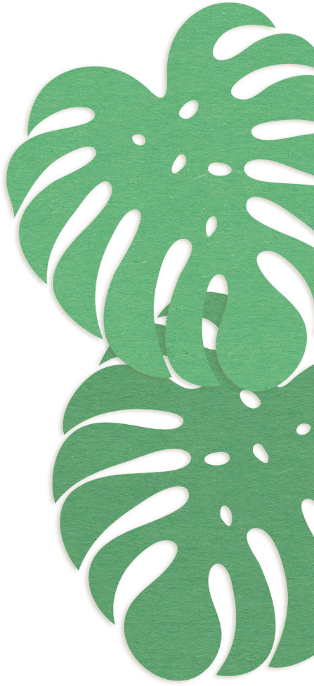 background decoration