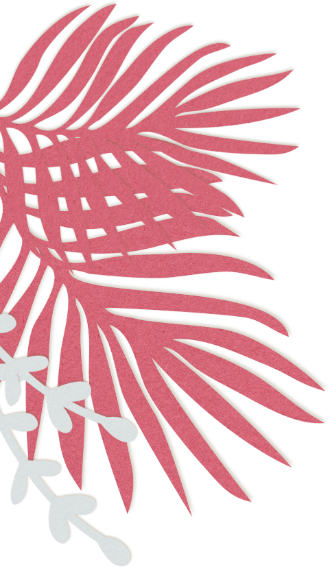 background decoration