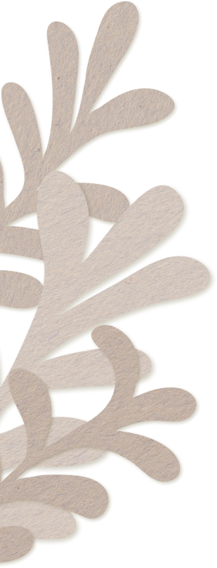 background decoration