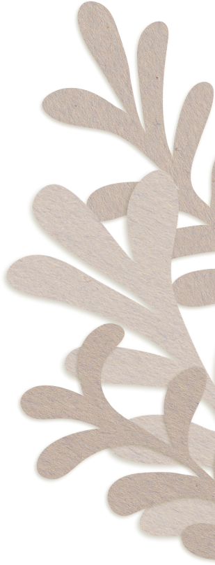 background decoration