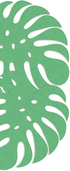 background decoration