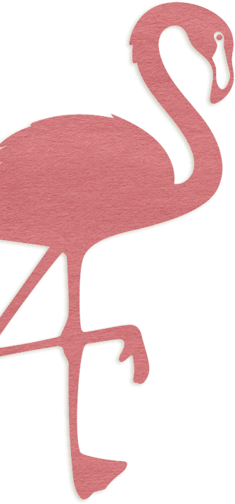 background decoration