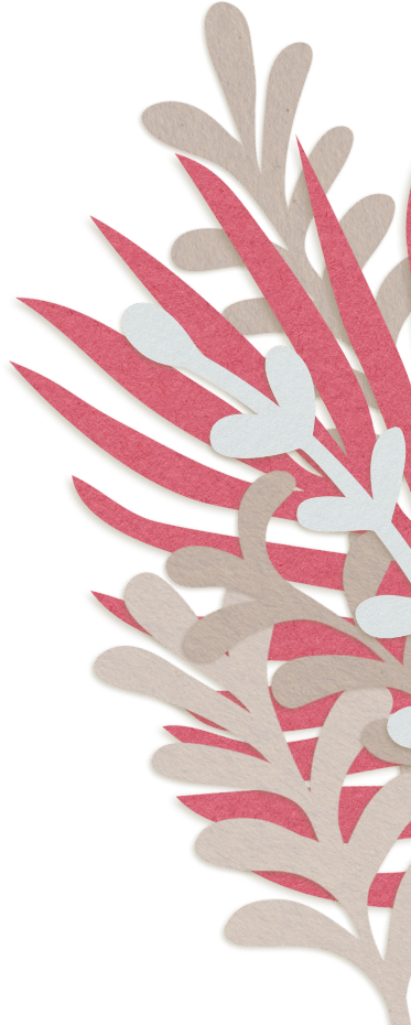 background decoration